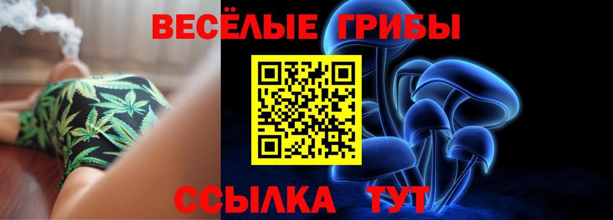 Псилоцибиновые грибы Psilocybine cubensis Красноярск